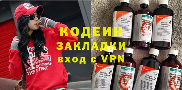 гидра Вяземский