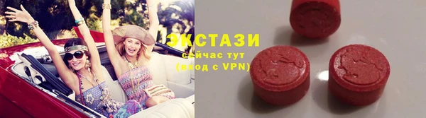 гидра Вяземский