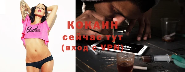гидра Вяземский
