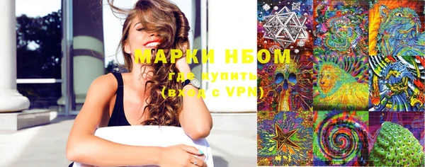 гидра Вяземский