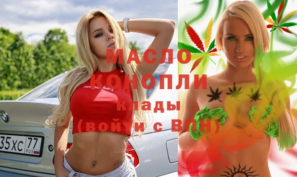 гидра Вяземский