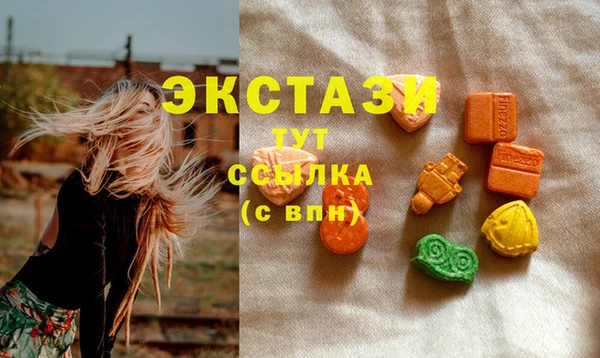 гидра Вяземский