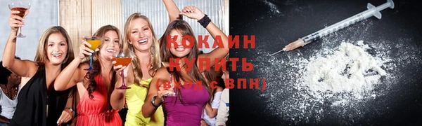 гидра Вяземский